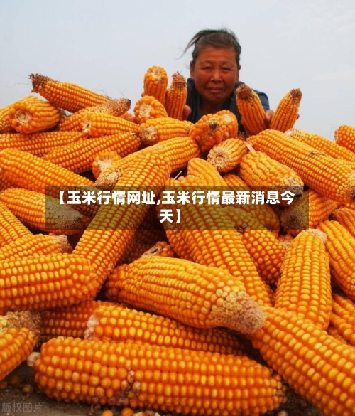 【玉米行情网址,玉米行情最新消息今天】-第1张图片