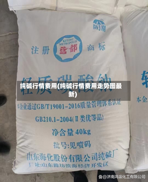 纯碱行情费用(纯碱行情费用走势图最新)-第1张图片