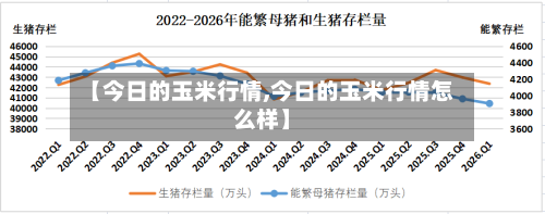 【今日的玉米行情,今日的玉米行情怎么样】