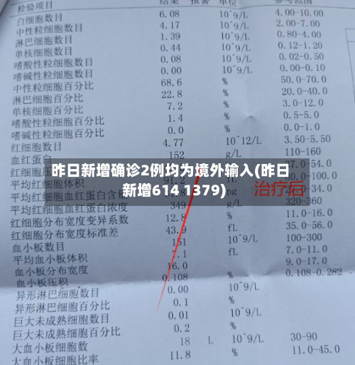 昨日新增确诊2例均为境外输入(昨日新增614 1379)-第2张图片
