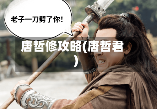 唐哲修攻略(唐哲君)-第2张图片