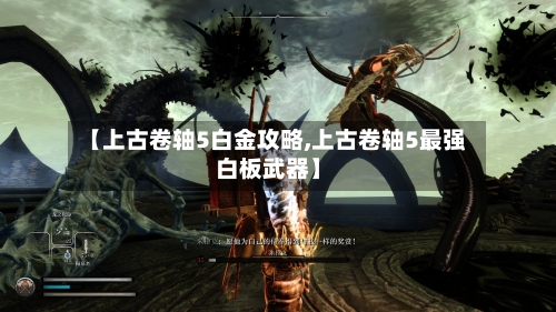 【上古卷轴5白金攻略,上古卷轴5最强白板武器】-第1张图片