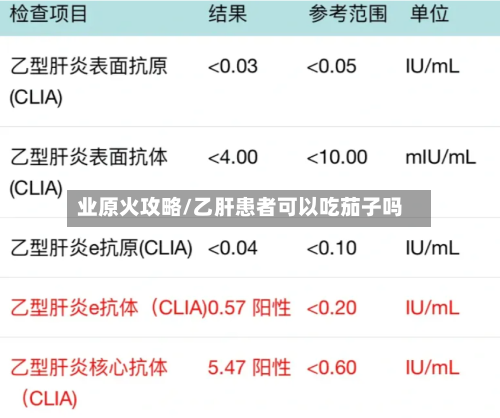 业原火攻略/乙肝患者可以吃茄子吗-第1张图片