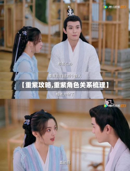 【重紫攻略,重紫角色关系梳理】-第1张图片