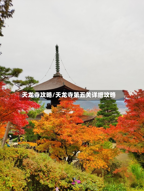 天龙寺攻略/天龙寺第五关详细攻略-第2张图片