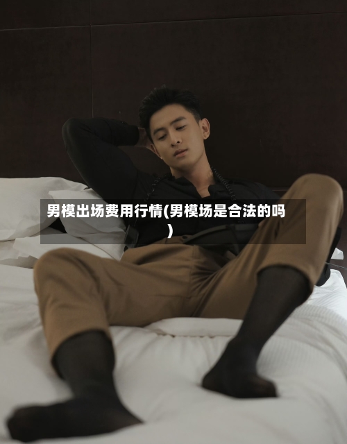 男模出场费用行情(男模场是合法的吗)-第1张图片
