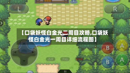 【口袋妖怪白金光二周目攻略,口袋妖怪白金光一周目详细流程图】-第1张图片