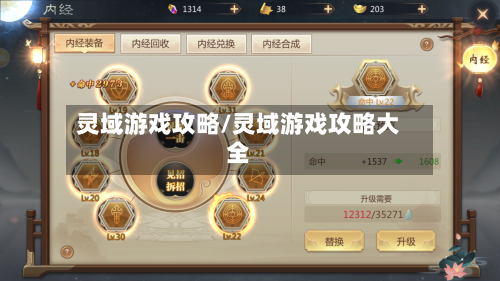 灵域游戏攻略/灵域游戏攻略大全-第1张图片