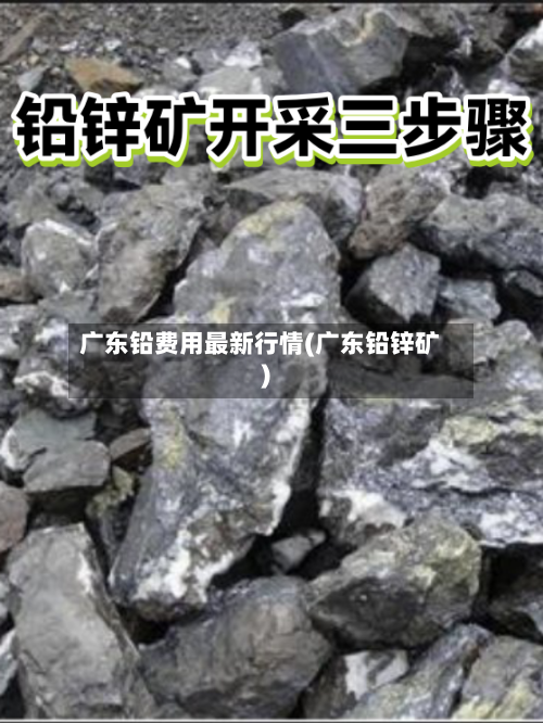 广东铅费用最新行情(广东铅锌矿)-第3张图片