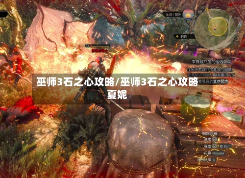 巫师3石之心攻略/巫师3石之心攻略夏妮-第1张图片