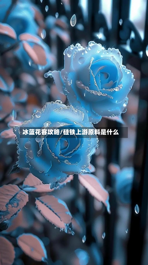 冰蓝花客攻略/硅铁上游原料是什么-第2张图片