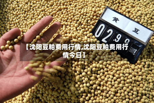 【沈阳豆粕费用行情,沈阳豆粕费用行情今日】-第2张图片
