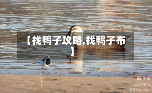 【找鸭子攻略,找鸭子布】-第1张图片