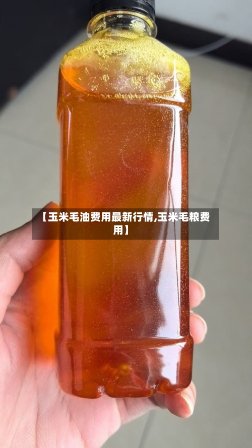 【玉米毛油费用最新行情,玉米毛粮费用】-第1张图片