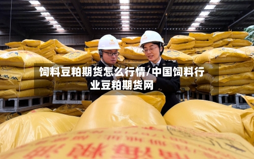 饲料豆粕期货怎么行情/中国饲料行业豆粕期货网