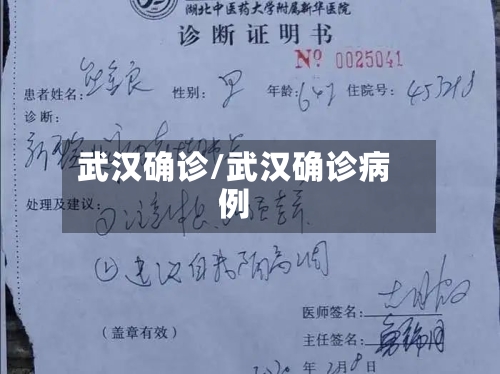 武汉确诊/武汉确诊病例-第1张图片