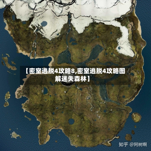 【密室逃脱4攻略8,密室逃脱4攻略图解迷失森林】-第1张图片