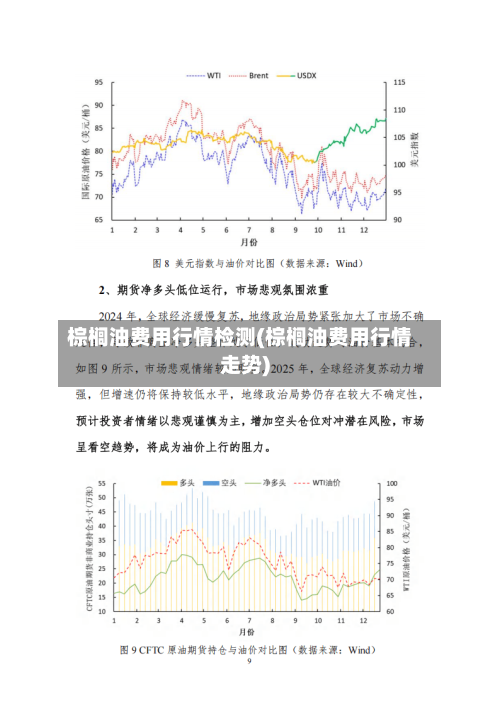 棕榈油费用行情检测(棕榈油费用行情走势)-第1张图片