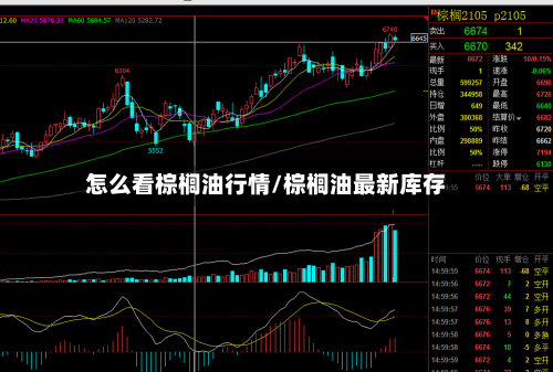 怎么看棕榈油行情/棕榈油最新库存-第1张图片