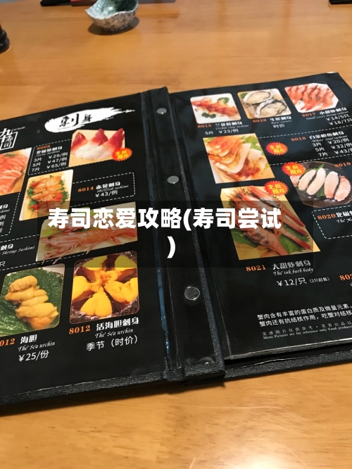 寿司恋爱攻略(寿司尝试)-第2张图片