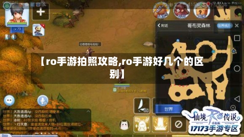 【ro手游拍照攻略,ro手游好几个的区别】-第1张图片