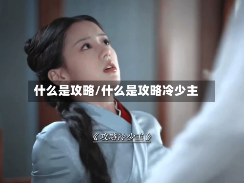 什么是攻略/什么是攻略冷少主-第1张图片