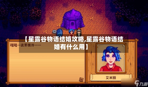 【星露谷物语结婚攻略,星露谷物语结婚有什么用】-第1张图片