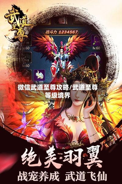 微信武道至尊攻略/武道至尊等级境界-第1张图片