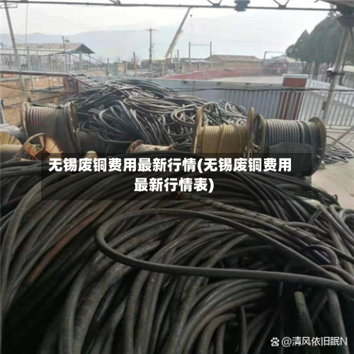 无锡废铜费用最新行情(无锡废铜费用最新行情表)-第1张图片