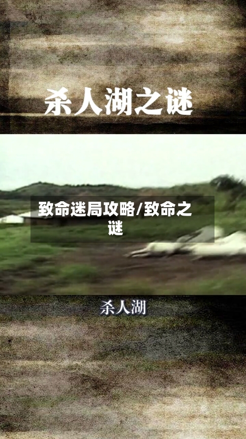 致命迷局攻略/致命之谜-第1张图片
