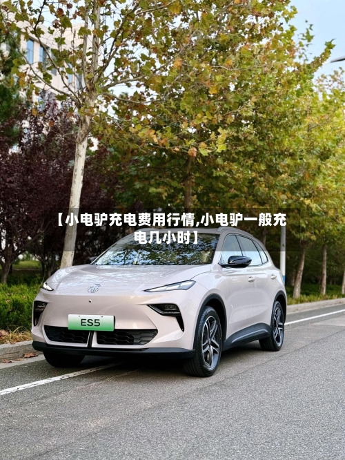 【小电驴充电费用行情,小电驴一般充电几小时】-第2张图片