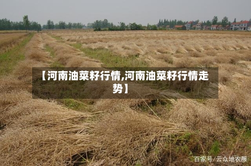 【河南油菜籽行情,河南油菜籽行情走势】-第1张图片