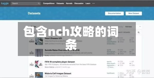 包含nch攻略的词条-第1张图片