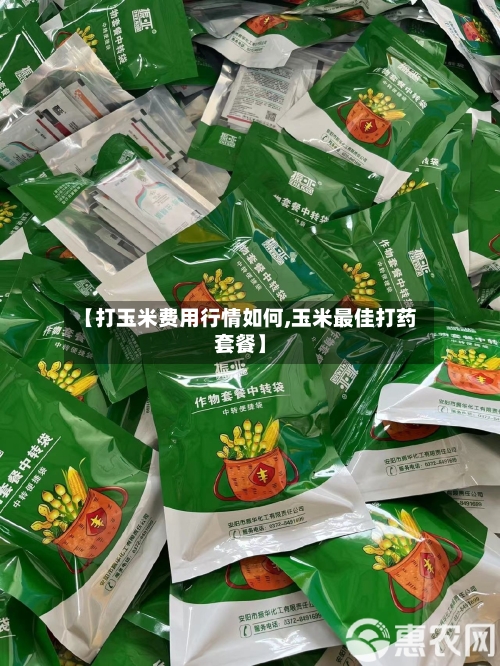 【打玉米费用行情如何,玉米最佳打药套餐】-第1张图片