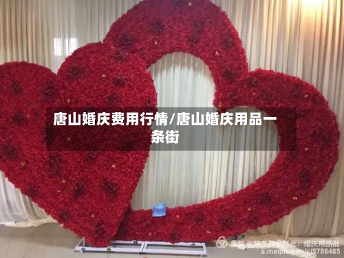 唐山婚庆费用行情/唐山婚庆用品一条街-第1张图片