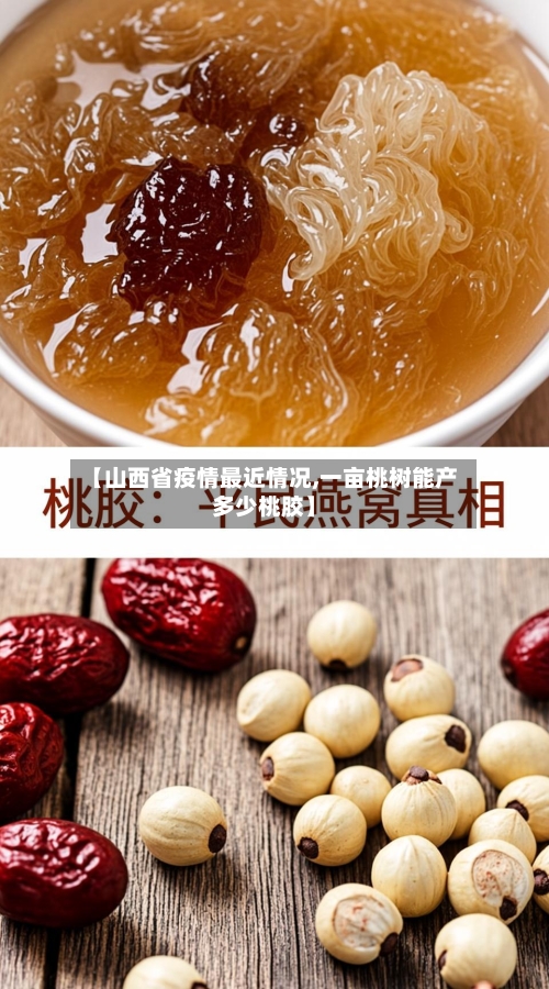 【山西省疫情最近情况,一亩桃树能产多少桃胶】-第1张图片