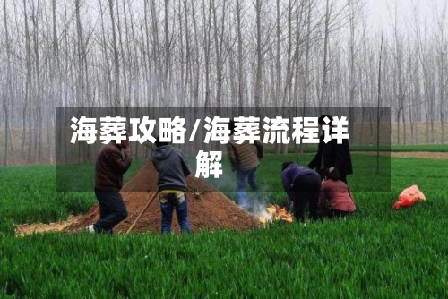 海葬攻略/海葬流程详解-第1张图片