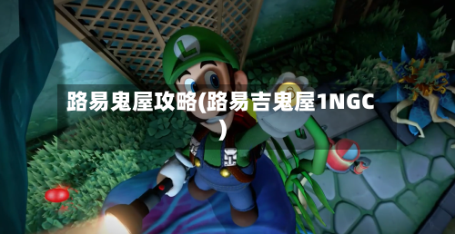路易鬼屋攻略(路易吉鬼屋1NGC)-第1张图片