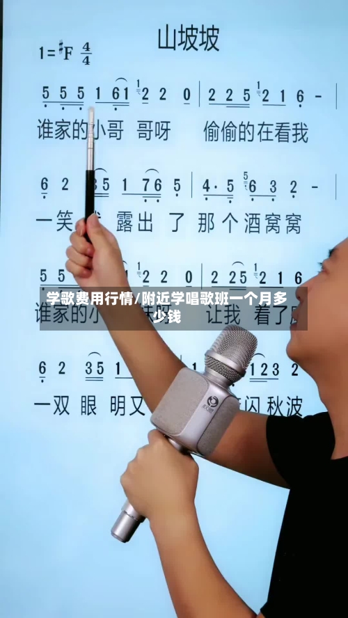 学歌费用行情/附近学唱歌班一个月多少钱-第1张图片