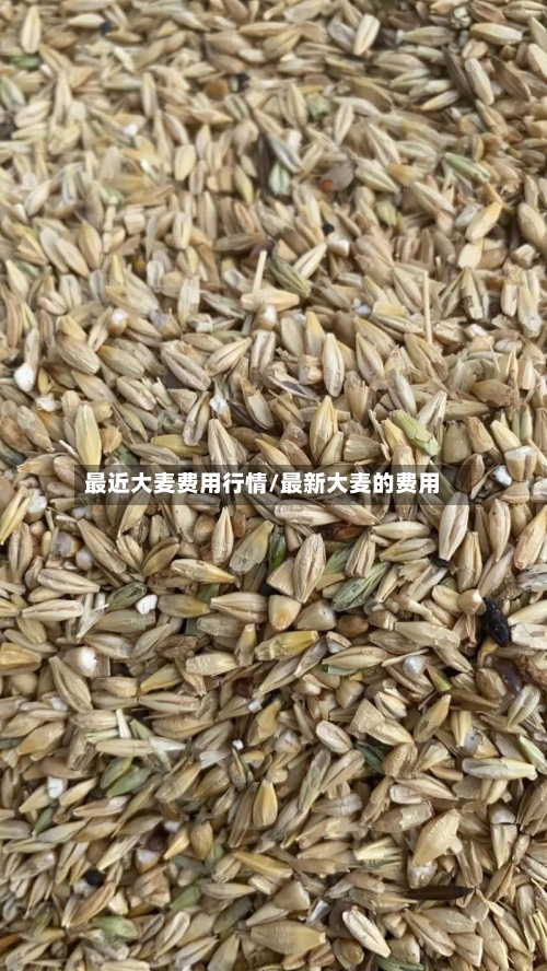 最近大麦费用行情/最新大麦的费用-第2张图片