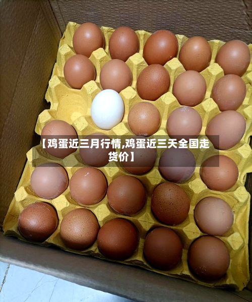 【鸡蛋近三月行情,鸡蛋近三天全国走货价】-第1张图片