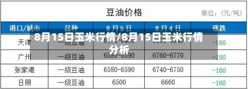 8月15日玉米行情/8月15日玉米行情分析-第1张图片