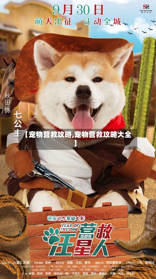 【宠物营救攻略,宠物营救攻略大全】-第1张图片