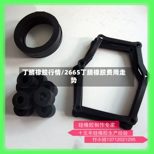 丁腈橡胶行情/2665丁腈橡胶费用走势-第1张图片