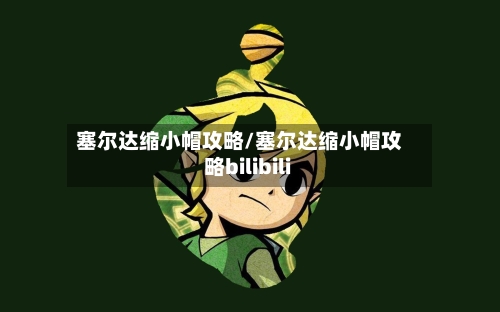 塞尔达缩小帽攻略/塞尔达缩小帽攻略bilibili