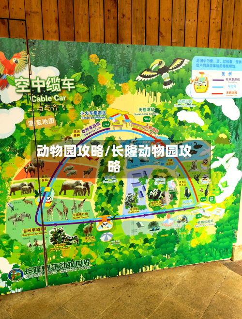 动物园攻略/长隆动物园攻略