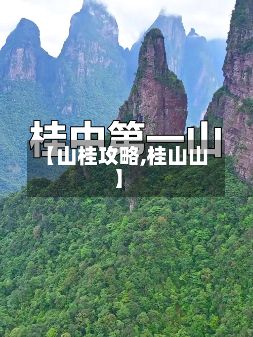 【山桂攻略,桂山山】-第1张图片