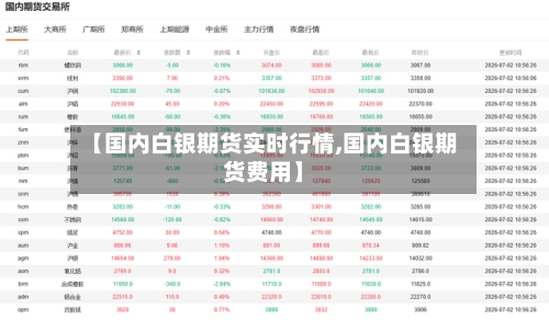 【国内白银期货实时行情,国内白银期货费用】-第1张图片
