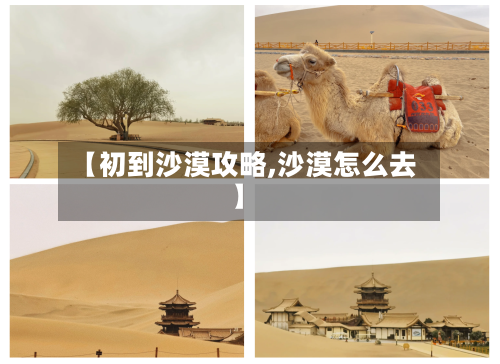 【初到沙漠攻略,沙漠怎么去】-第1张图片