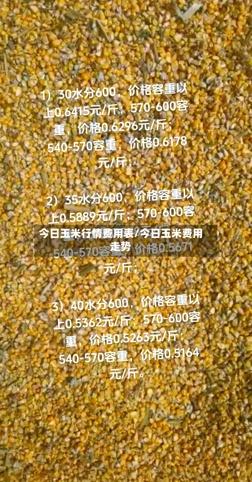 今日玉米行情费用表/今日玉米费用走势-第1张图片